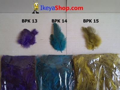 BPK 13 15  large2